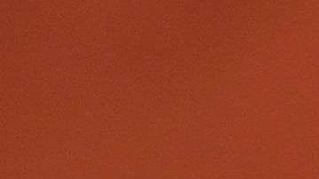 Los cachorros desfilaron cargados por sus entrenadoras.