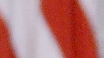 Portales de noticias falsas vuelven a arreciar contra las hijas de Obama