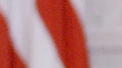 Portales de noticias falsas vuelven a arreciar contra las hijas de Obama