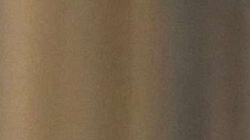 El presidente Trump cree que hay una conspiración en su contra en el DOJ.