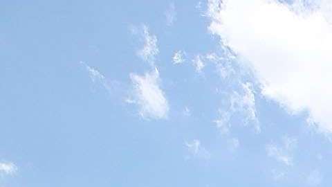 Los demócratas han expresado su preocupación sobre la reforma de salud.