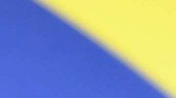 En mayo de 2018 Kim abogó ante Trump para que liberara a Alice Johnson