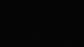 El indocumentado pasará 8 años en prisión antes de ser deportado