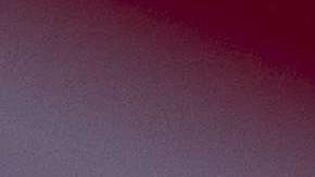 Un reporte del gobierno sobre "terrorismo" habría sido manipulado para respaldar la idea que liga inmigración con peligro para Estados Unidos (Foto: archivo)