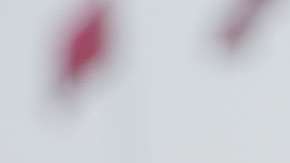 Richard Liu Qiangdong.