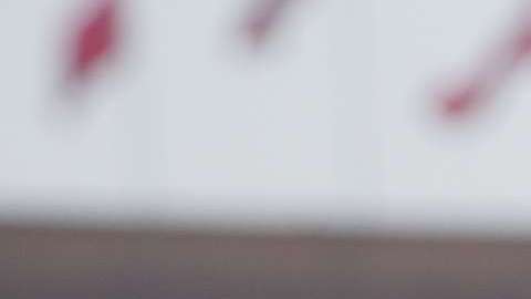 Richard Liu Qiangdong.