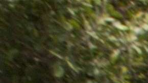 AMLO tomará las riendas de México el próximo 8 de diciembre.