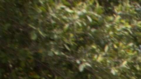 AMLO tomará las riendas de México el próximo 8 de diciembre.