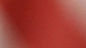 Brown también vetó otra ley que permitía a indocumentados servir en comisiones del estado