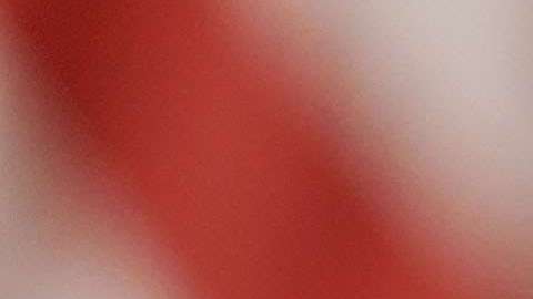 Brown también vetó otra ley que permitía a indocumentados servir en comisiones del estado