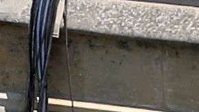 Meghan Markle y el príncipe Harry se casaron en mayo.