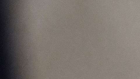 Melania Trump habla seis idiomas.