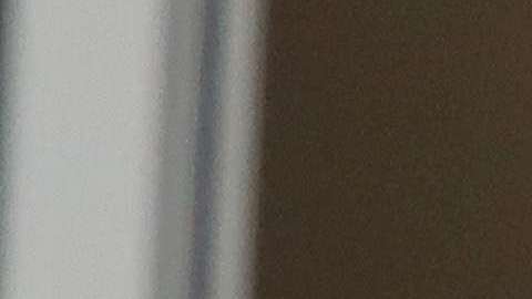 Maradona dirigirá a Dorados de Sinaloa y también será presidente del Dynamo Brest