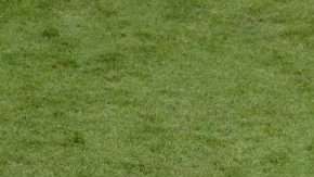 El francés Benjamin Pavard fue autor del mejor gol del Mundial de Rusia 2018