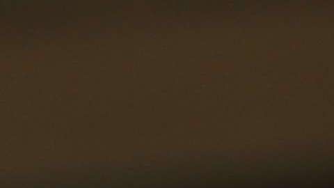 Nuevo reporte indica que los inmigrantes enriquecen la economía de EEUU.