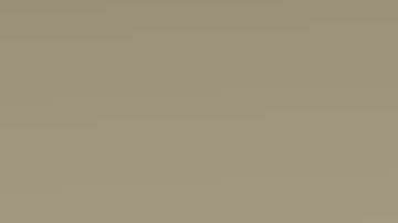 Muy rara vez se halla el oro en esas cantidades.