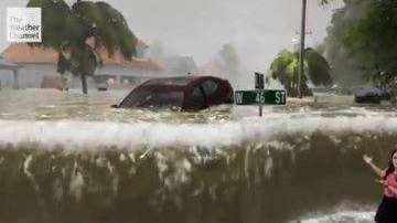 La animación ha generado más impacto que las escenas reales.