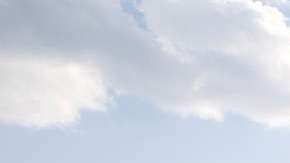 Los autos "ahogados" tiene su atractivo