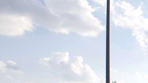 Los autos "ahogados" tiene su atractivo