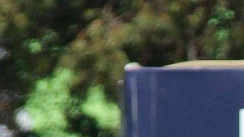 El Club América tendrá presencia en Nueva York a partir del otoño de este año