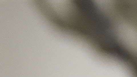 Hirving Lozano no estará presente en el amistoso de México ante Estados Unidos