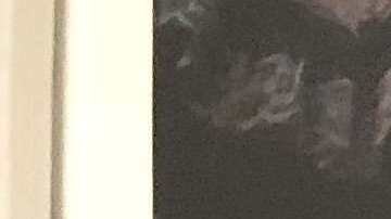 Juan Carlos Plata, directivo, y Walter Claverí, entrenador, ante un reto titánico.