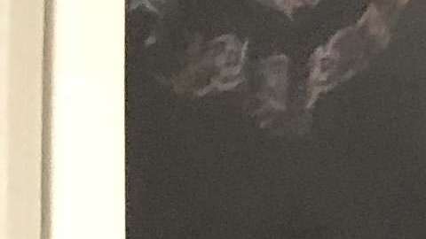 Juan Carlos Plata, directivo, y Walter Claverí, entrenador, ante un reto titánico.