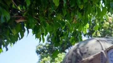 La segurdad en manos de las Fuerzas Federales.