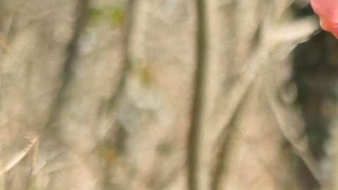 Hay razones que explican esto y la primera pudiera ser la sobrealimentación, lo que significa que estás consumiendo más calorías de las que tu cuerpo necesita.