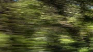 Se mantiene a la cabeza