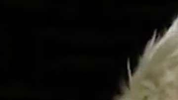 Maca Carriedo y Galilea Montijo son compañeras en el programa "Hoy"