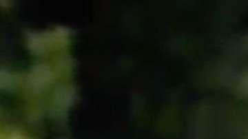 "La Diabla" en "Sin senos sí hay paraíso"