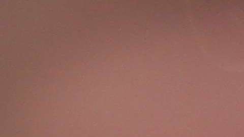 La duquesa de Sussex.