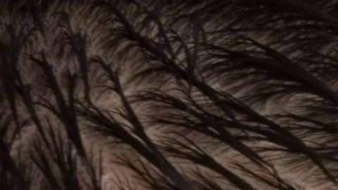 A diferencia de sus abuelos, los Millenials no están interesados en trabajar 40 años para la misma empresa.