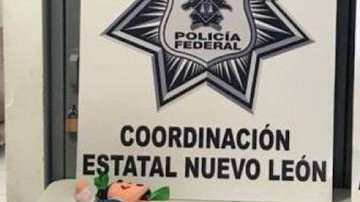 La artesanía mexicana tenía más de mil pastillas de droga,