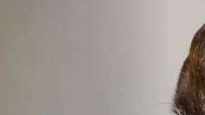 Patches tenía un tumor en el cerebro del tamaño de una naranja.