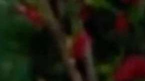 Pati Chapoy, conductora principal de "Ventaneando"