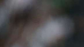 Jonatan Cristaldo jugó con Rayados de Monterrey