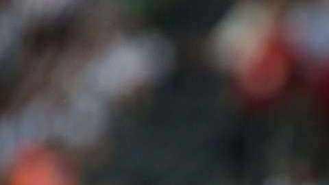 Jonatan Cristaldo jugó con Rayados de Monterrey