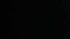 Ooni, la compañía de electrodomésticos, está buscando contratar diez "probadores de pizza" que dependiendo de la experiencia podrían ganar entre $300 y $1,000 dólares.