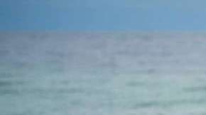 Misteriosa pareja se promete y sus fotos se hacen virales en Facebook.