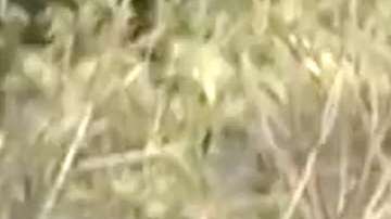 Rafael Amaya en "El Señor de los Cielos"