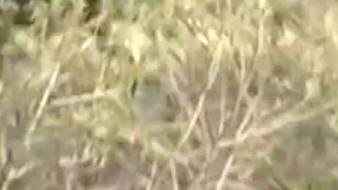 Rafael Amaya en "El Señor de los Cielos"