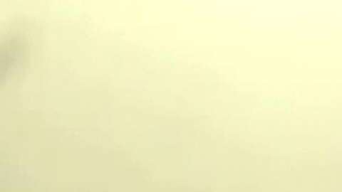 "El Señor de los Cielos" reacciona