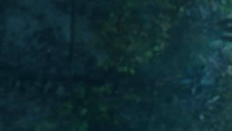 Momoa ya interpretó a Aquaman en Justice League.