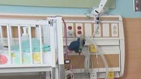 Una pareja dona más de un millón de dólares.