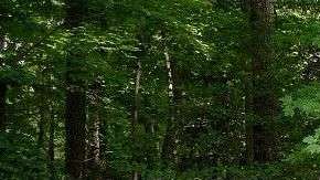 Todo tipo de autos se pueden encontrar.