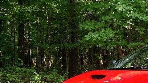 Todo tipo de autos se pueden encontrar.