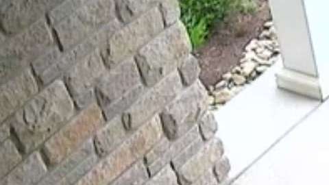 Una madre roba paquetes de sus vecinos.