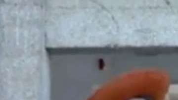 Así es como decidió darse el sí quiero esta pareja.